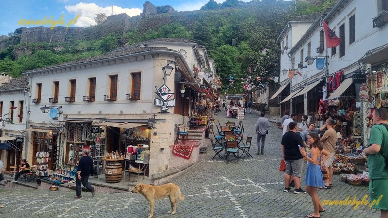 Gjirokastra - pies stoi spokojnie na skrzyżowania szlaków turystycznych na starym mieście. 20240430_181056-ink