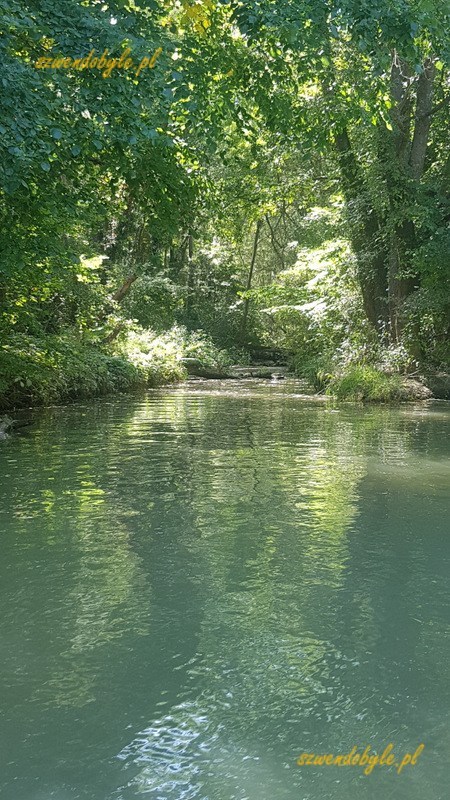 Kamczija, gęste zarośla i drzewa na brzegach rzeki.