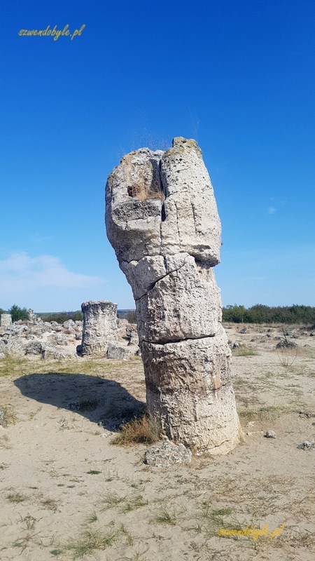 Kamienny Las — Pobiti kamani — kolumna na zbliżeniu.