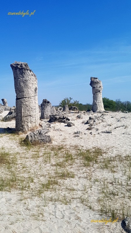 Kamienny Las — Pobiti kamani — dwie kolumny.