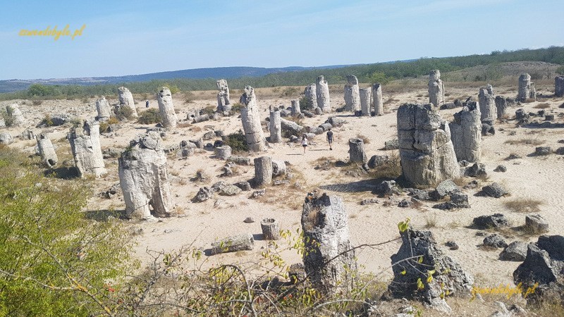 Kamienny Las — Pobiti kamani. Widok ze wzniesienia.