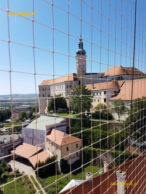 Mikulov, widok z wieży kościoła św. Wacława na zamek.