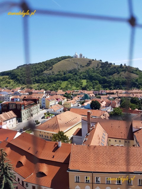 Mikulov, widok z wieży kościoła św. Wacława na miasto i Svatý kopeček.