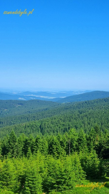 Czechy, Szumawa. Widok z góry Pancíř (1214 m npm). 20250621_093710-ink