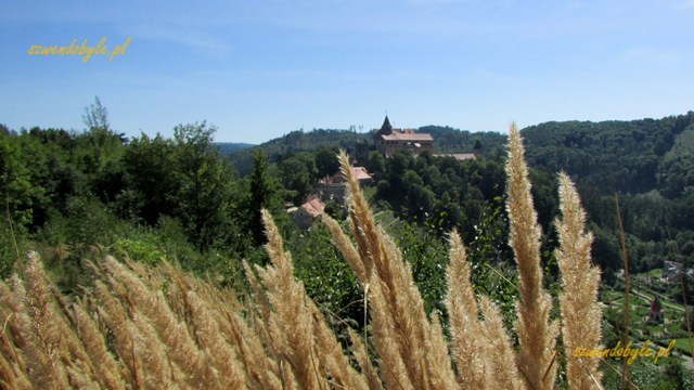 Pernštejn, widok na zamek ze szlaku na Maria Laube. 