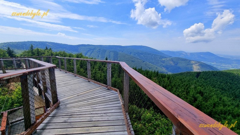 Czechy, Beskid Morawsko-Śląski,Stezka Vala&scaron;ka. Ścieżka w koronach drzew, widok z perspektywy osoby idącej po niej. 20250809_133610-ink