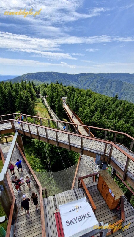 Czechy, Beskid Morawsko-Śląski,Stezka Vala&scaron;ka. Widok z g&oacute;ry na konstrukcję ścieżki w koronach drzew i perspektywa g&oacute;r. U dołu zdjęcia widać stanowisko z napisem SKYBIKE. 20250809_133650-ink
