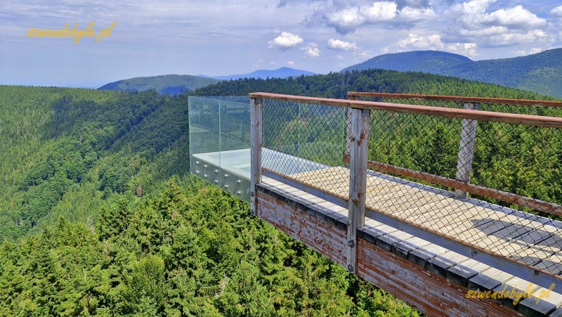 Czechy, Beskid Morawsko-Śląski,Stezka Vala&scaron;ka. Szklany balkon na końcu ścieżki w koronach drzew i panorama zalesionych g&oacute;r. 20250809_134923-ink