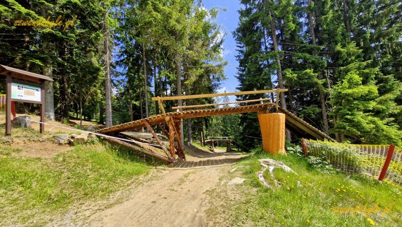 Park Narodowy Szumawa, CZ. Nad szlakiem drewniany most szlaku rowerowego. 20250619_104925-ink