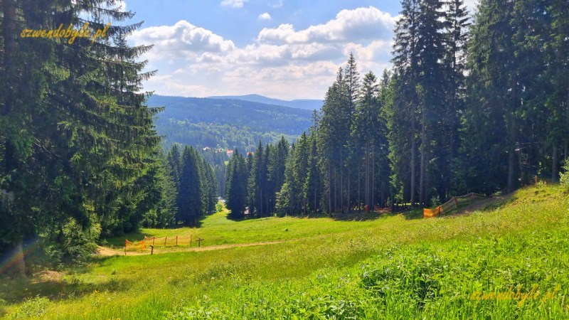 Park Narodowy Szumawa, CZ. Widok ze zbocza - trasy narciarskiej. 20250619_110045-ink