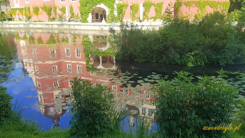 Bad Muskau, Neues Schloss / Mużaków. Nowy Zamek. W stawie odbija się budynek zamku. Na powierzchni stawu pływają liście roślin wodnych. 20230614_163821-ink