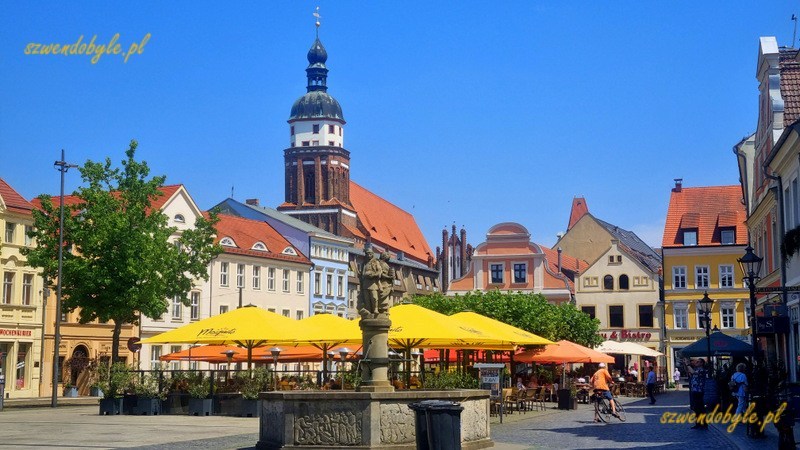 Cottbus, rynek (Altmarkt). Na pierwszym planie kamienna fontanna, nad rynkiem góruje wieża kościoła św. Mikołaja (Oberkirche). 20240626_134026-ink