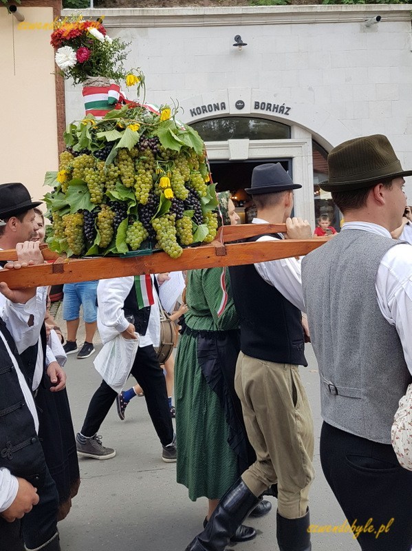 Eger, Dolina Pięknej Pani. Obchody święta wina. Mężczyźni niosą wieniec symbolizujący plony winobrania.