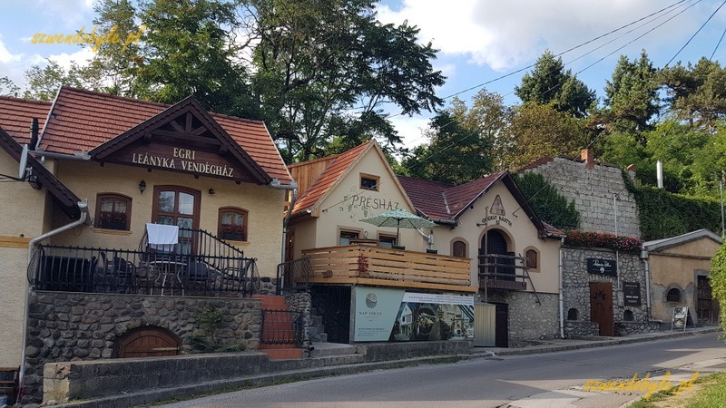 Eger, Dolina Pięknej Pani. Kamienne domy z winnymi piwnicami przy drodze do miasta.