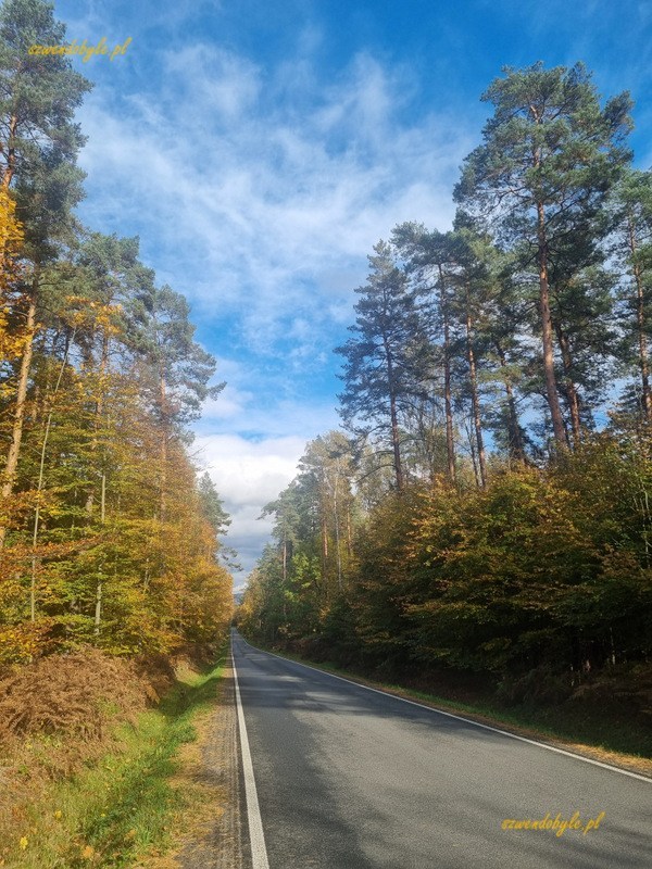 Droga z zamku Tenczyn.