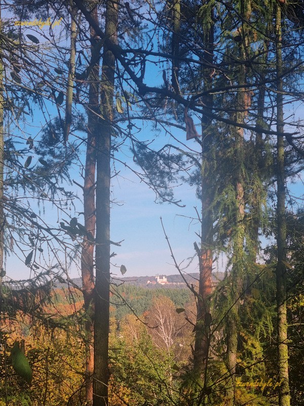 Klasztor kamedułów na Bielanach widoczny z lasu w Tyńcu.