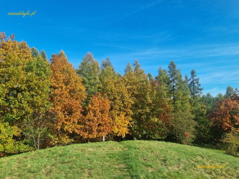 Polana na wzgórzu Kowadza.