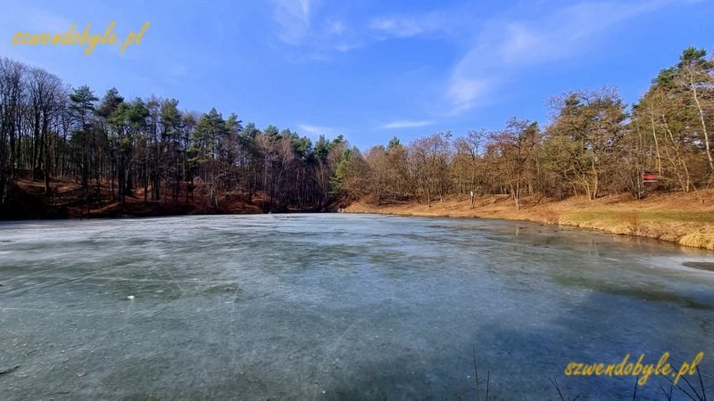 Małopolska, Staw Zielony niedaleko Pustynia Błędowskiej jeszcze pokryty cienką warstwą lodu. 20260308_113029-ink