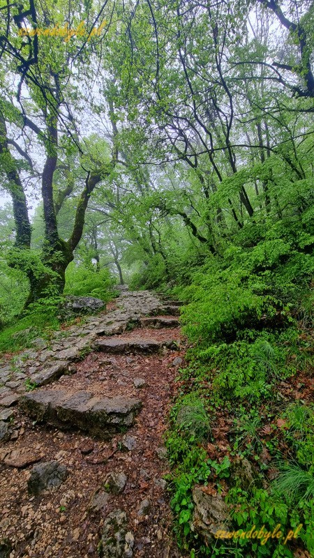 Czarnogóra, ścieżka w lesie prowadząca do monastyru Ostrog. 20250426_101538-ink