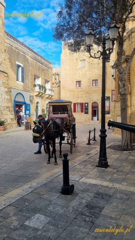 Mdina, dorożka. W tle otwarty sklepik.