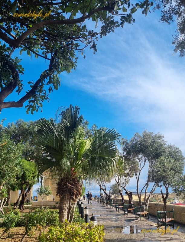 Malta, Valletta. Alejka z ławeczkami i palmami w Lower Barrakka Gardens.