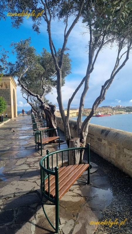 Malta, Valletta. Ławeczki i drzewa w parku Lower Barrakka Gardens.