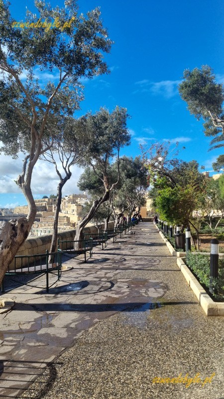 Malta, Valletta. Ławeczki i drzewa w parku Lower Barrakka Gardens.