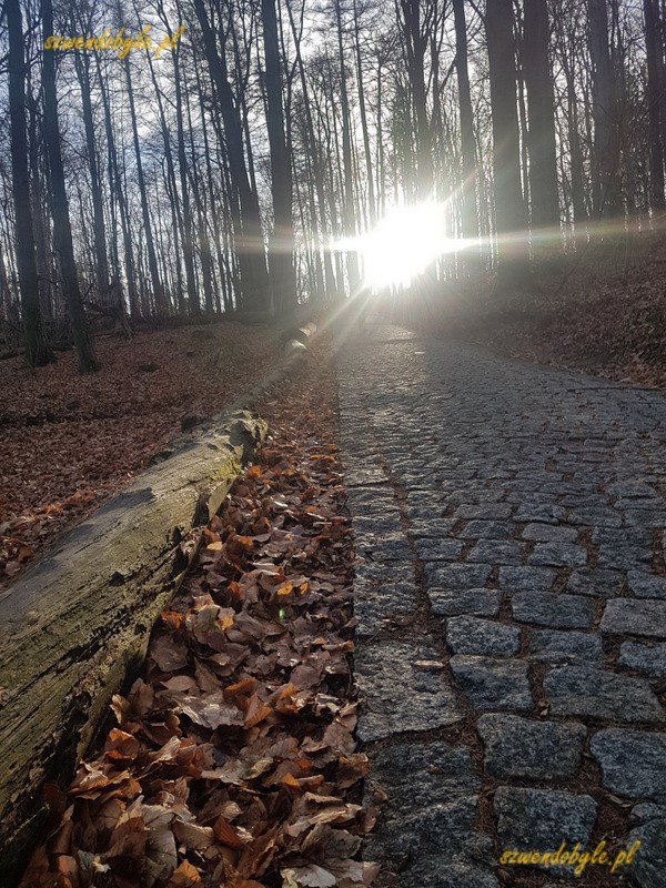 Szlak czerwony,czyli brukowana droga łagodnie wznosząca się w kierunku zamku Chojnik. Na końcu drogi światło słońca.