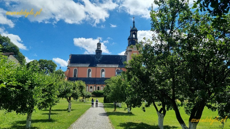 Lubuskie. Gościkowo-Paradyż, widok alei w ogrodzie, która prowadzi do kościoła św. Marcina. 20240622_142419-ink