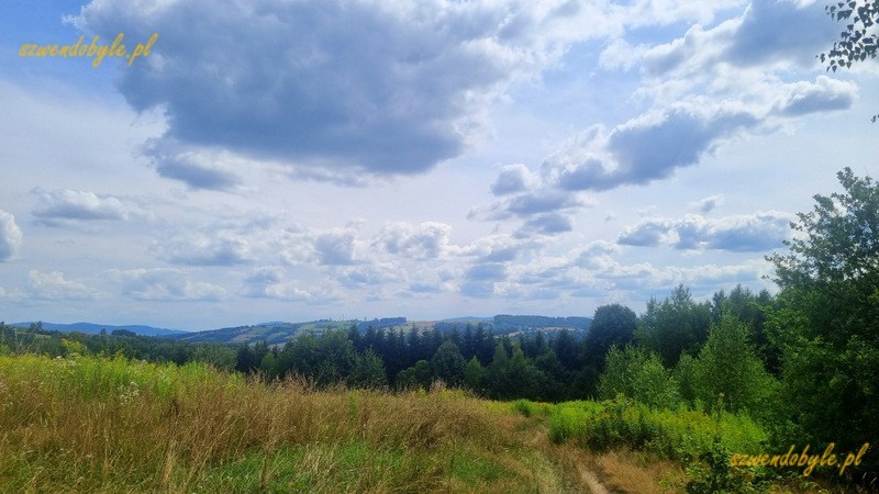 Cężkowice, łąka na Szlaku Nietoperza na terenie rezerwatu "Skamieniałe miasto". 20240720_150049-ink