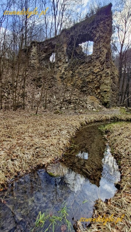 Małopolska, ż&oacute;łty szlak z Krzeszowic. Widok ruin Diabelskiego Mostu, odbicie kamiennego most w wodzie. 20260315_145451-ink