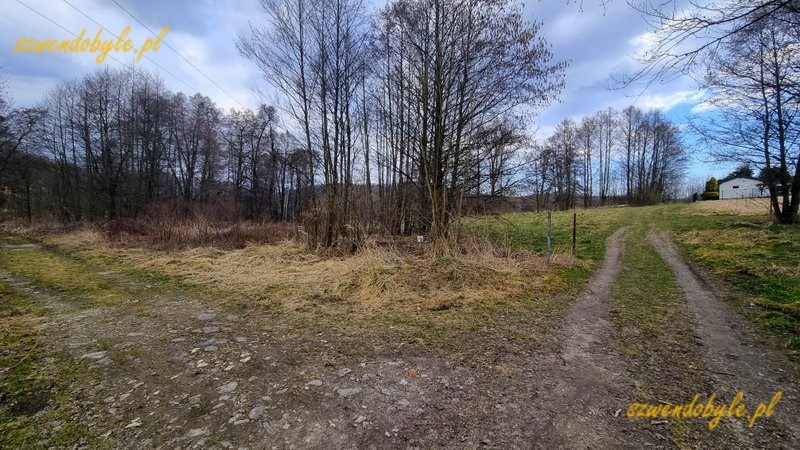 Małopolska, Krzeszowice, ż&oacute;łty szlak w kierunku klasztoru w Czernej. 20260315_154319-ink