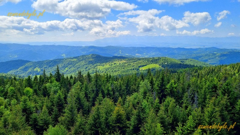 Małopolska, widok z wieży widokowej na szczycie Gorc. 20250614_111859-ink