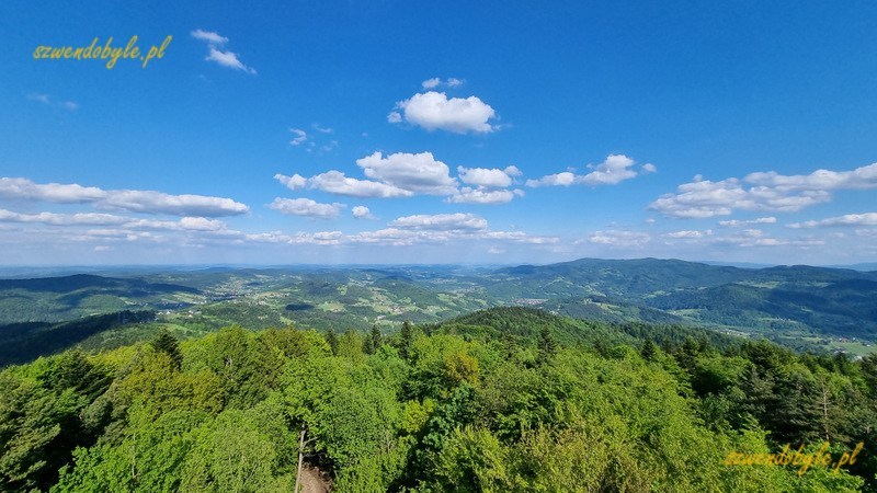 Kamionna, Beskid Wyspowy -widok z wieży. 20250525_163426-ink