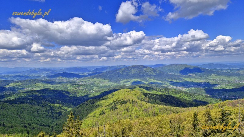 Mogielica, Beskid Wyspowy - widok z wieży. 20250525_104045-ink