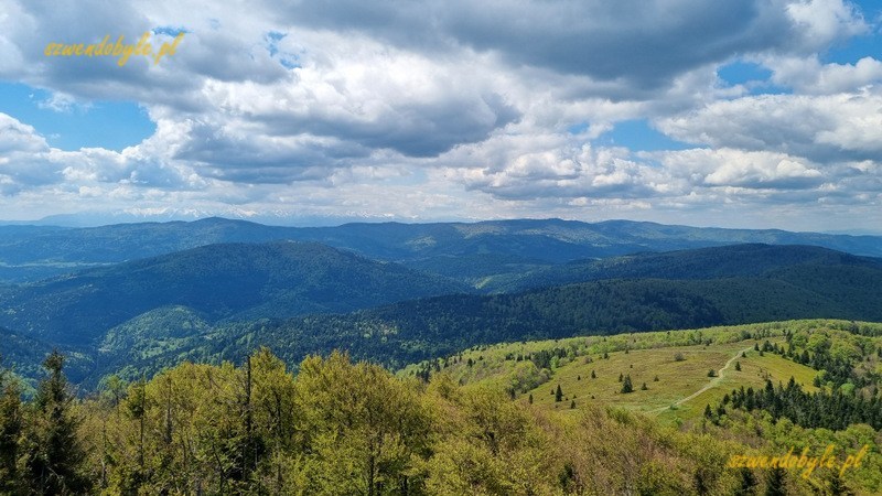 Mogielica, Beskid Wyspowy - widok z wieży w kierunku Polany Stumorgowej. 20250525_104947-ink