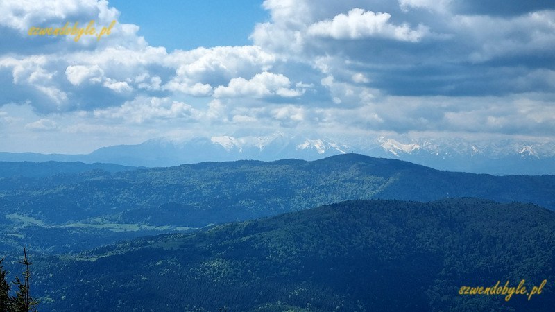 Mogielica, Beskid Wyspowy - widok z wieży w kierunku ośnieżonych Tatr. 20250525_105316-ink