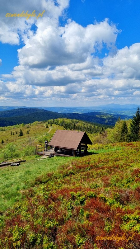 Polana Stumorgowa pod Mogielicą, Beskid Wyspowy. 20250525_111134-ink