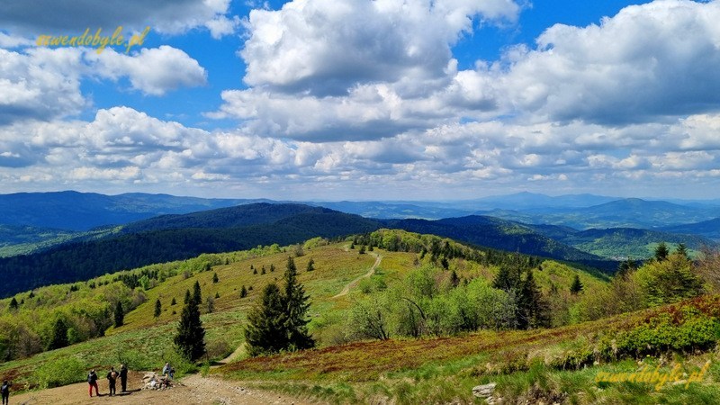 Mogielica, Beskid Wyspowy - Polana Stumorgowa. 20250525_111257-ink