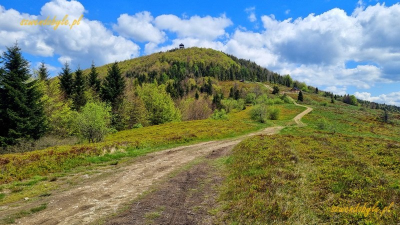 Polana Stumorgowa, Beskid Wyspowy - w oddali widać wieżę widokową na Mogielicy. 20250525_112718-ink