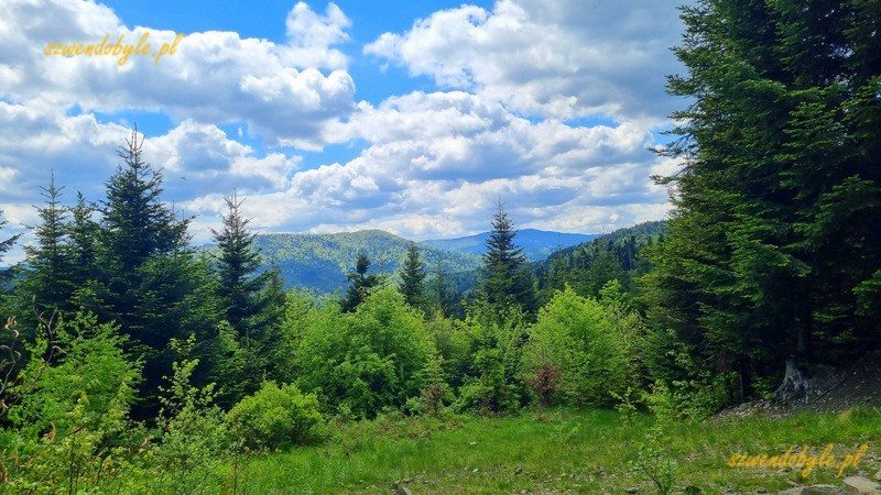 Widok na Beskid Wyspowy. 20250525_124113-ink