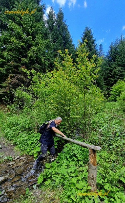 Mogielica, Beskid Wyspowy - ścieżka historyczno-edukacyjna. 20250525_125007-ink