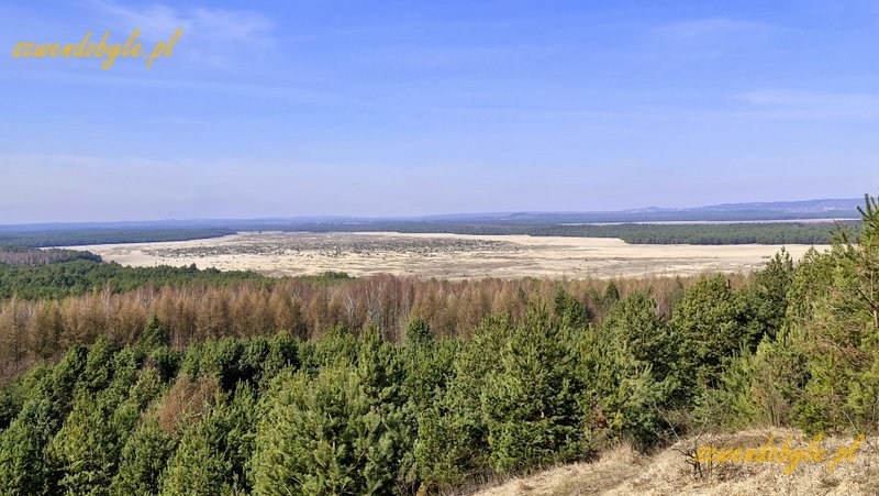 Małopolska, Pustynia Błędowska. Widok ze wzniesienia Czubatka. 20260308_104137-ink