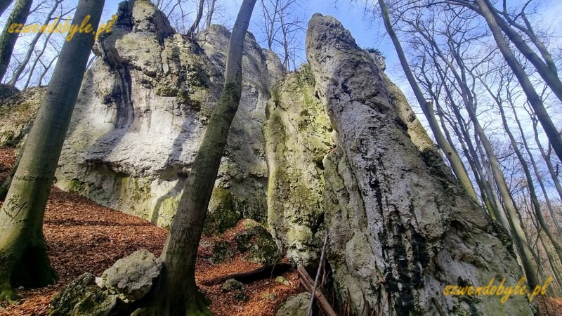 Małopolska, skałki wapienne na terenie rezerwatu "Pazurek". 20260308_135328-ink