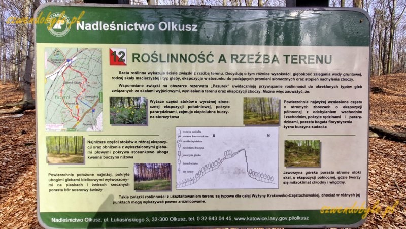 Małopolska, rezerwat "Pazurek". Tablica informacyjna "Roślinność a rzeźba terenu". 20260308_150455-ink