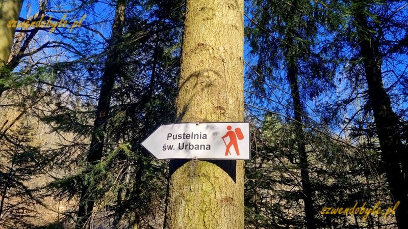Małopolska. Szpil&oacute;wka, strzałka na drzewie wskazuje kierunek do pustelni św. Urbana. 20260307_123223-ink