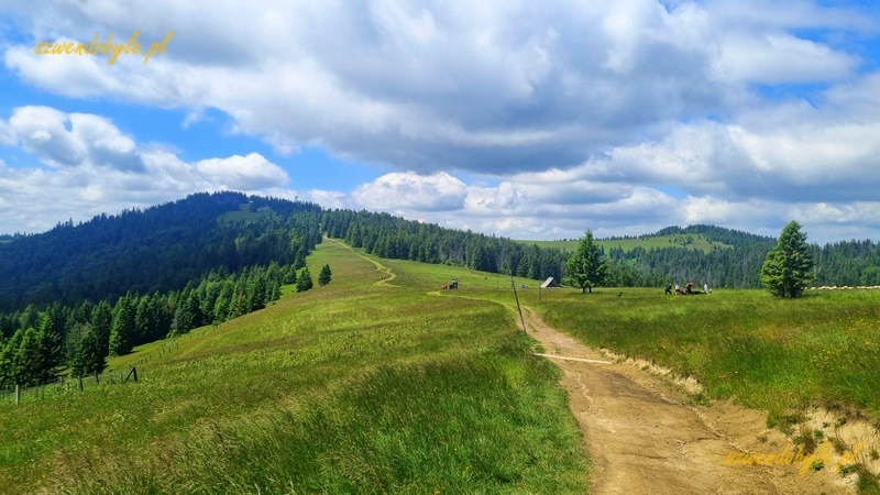 Gorce. Wdok na Turbacz od strony Hali Długiej. 20250628_124704-ink