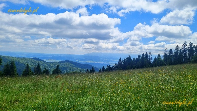 Gorce. Widok z Hali Długiej na g&oacute;ry. 20250628_130307-ink