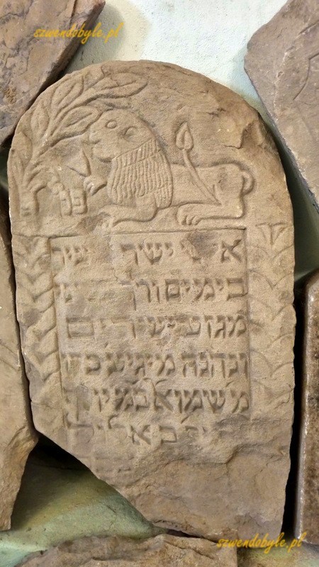 Podkarpacie, Łańcut. Wnętrze synagogi. Fragment macewy z wyrzeźbionym lwem. 20250730_132721-ink