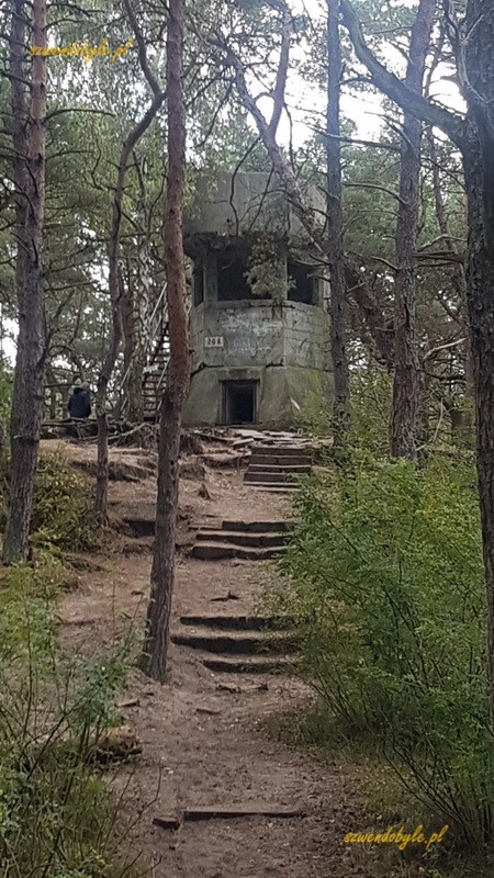 Hel, zabytki militarne - bunkier w lesie.